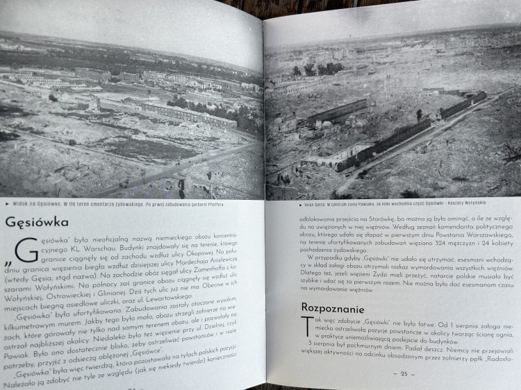 gesiowka  (6).jpg