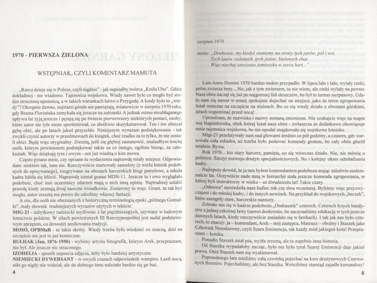 pięć zielonych (4).jpg