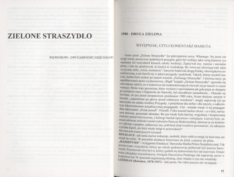 pięć zielonych (5).jpg